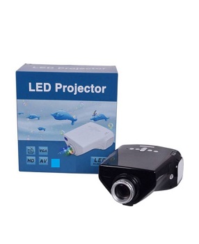 Dolphin LED Projector